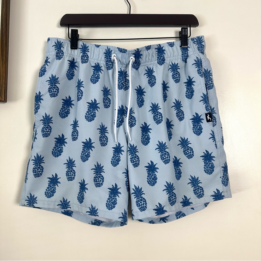 Hollister Light Blue Lined Pineapple Swimming Trunks